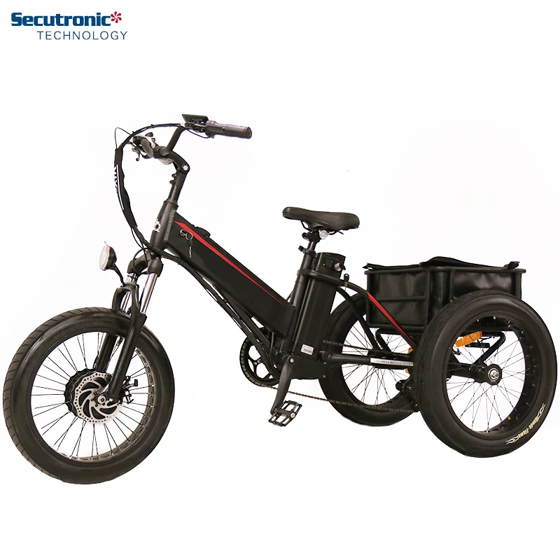 

Adult 3 Wheel E Trike Vehicle Electric Motor Bike, 3 Wheeler Tricycle Electric Bicycle For Sale In Philippines