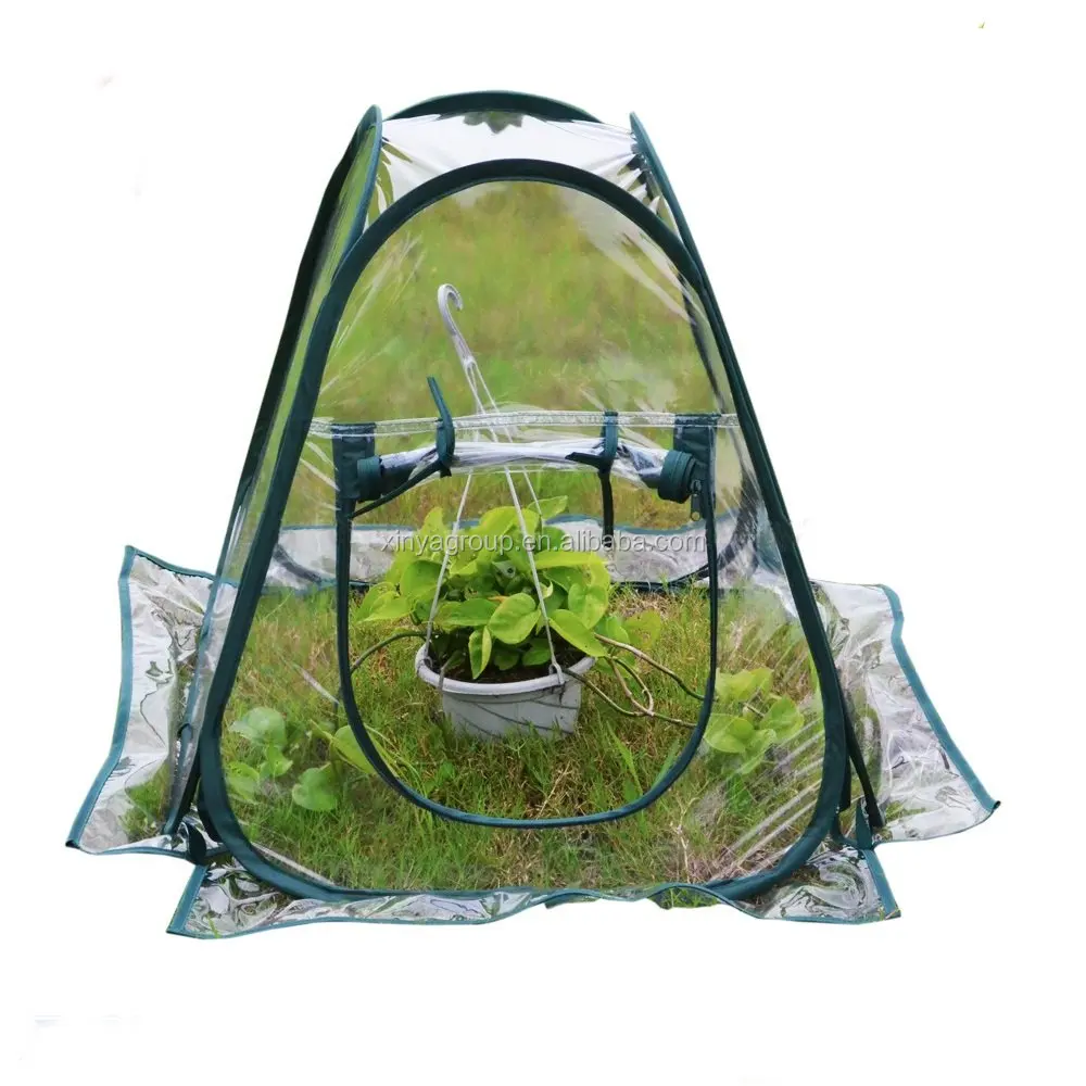 Pop Up Mini Greenhouse With Clear Pvc Plant Cover Buy Pop Up