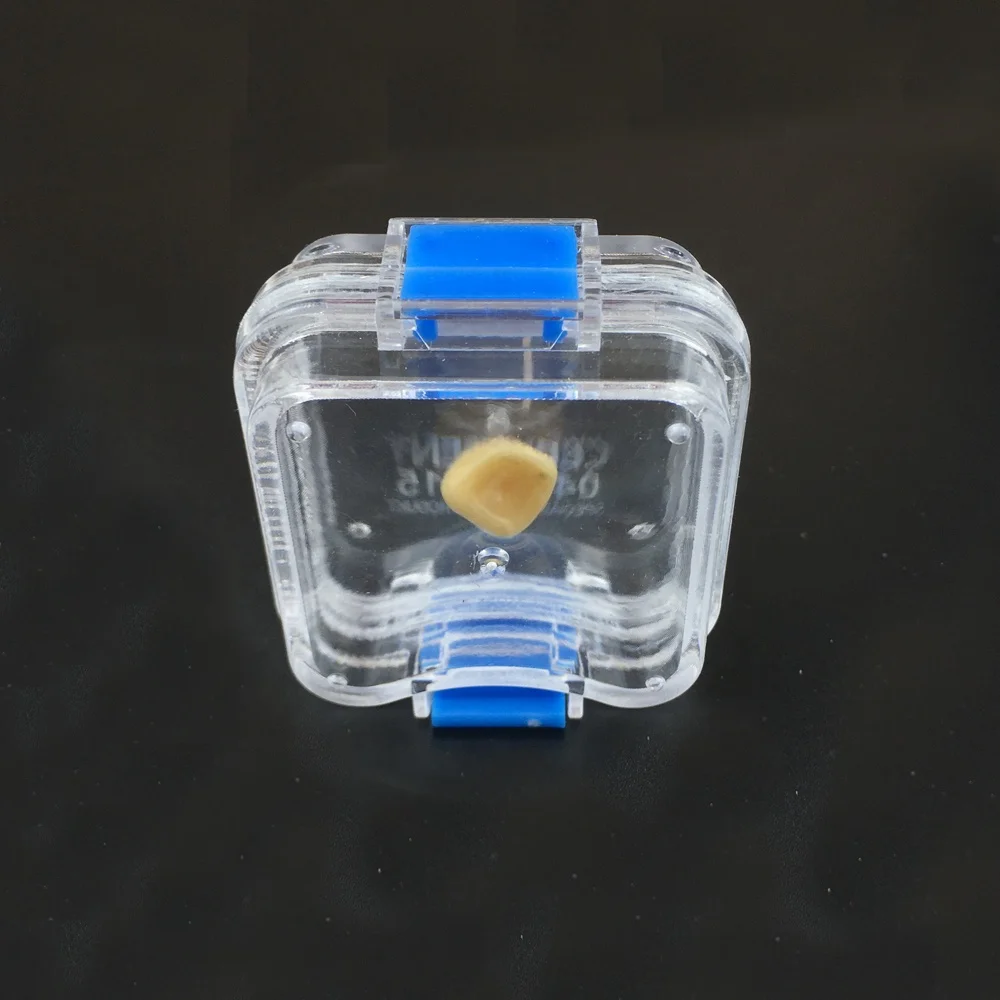 Transparent Plastic Dental Crown Box With Membrane Buy Dental Crown