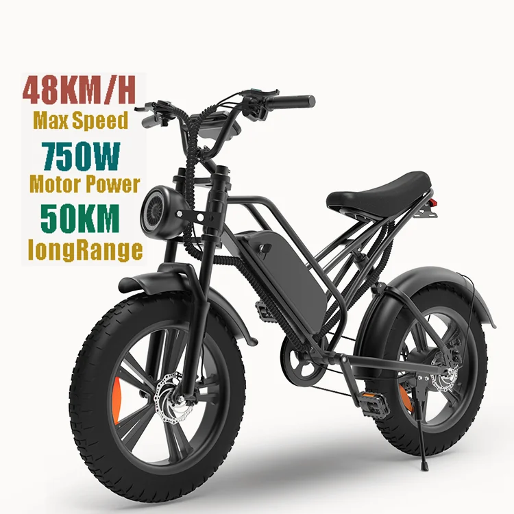 

Cruiser Electric Bike Electric Bicycle Motor Integrated Battery 48v Battery Ebike 750w Powerful Beach Lithium Battery 7 Speed