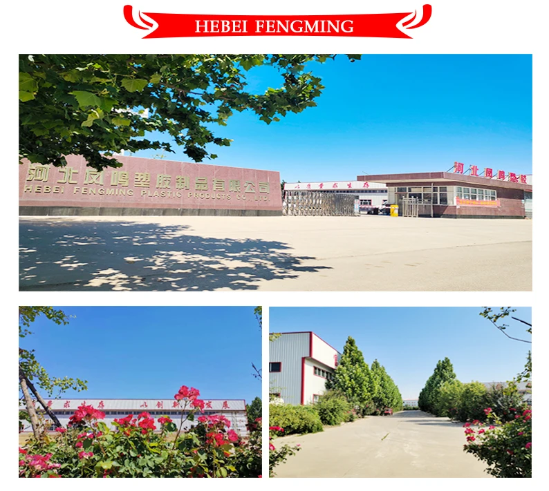 hebei fengming2 .jpg
