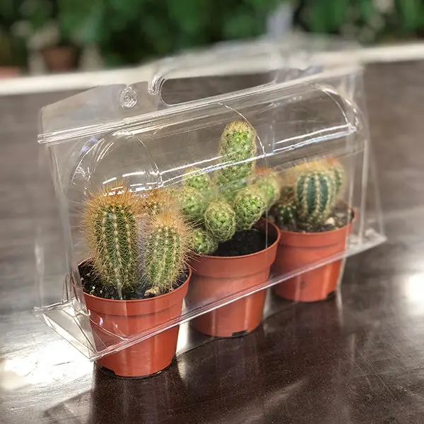 Packaging For Plants3.jpg