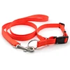 Dog Products Training Walking Reflective Dog Collar Pet Made Of Nylon Webbing