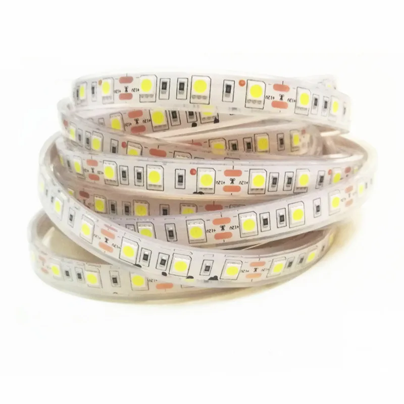 LED strip 5050 IP68 waterproof fish tank pond fountain bathroom lighting underwater led strip light ip68