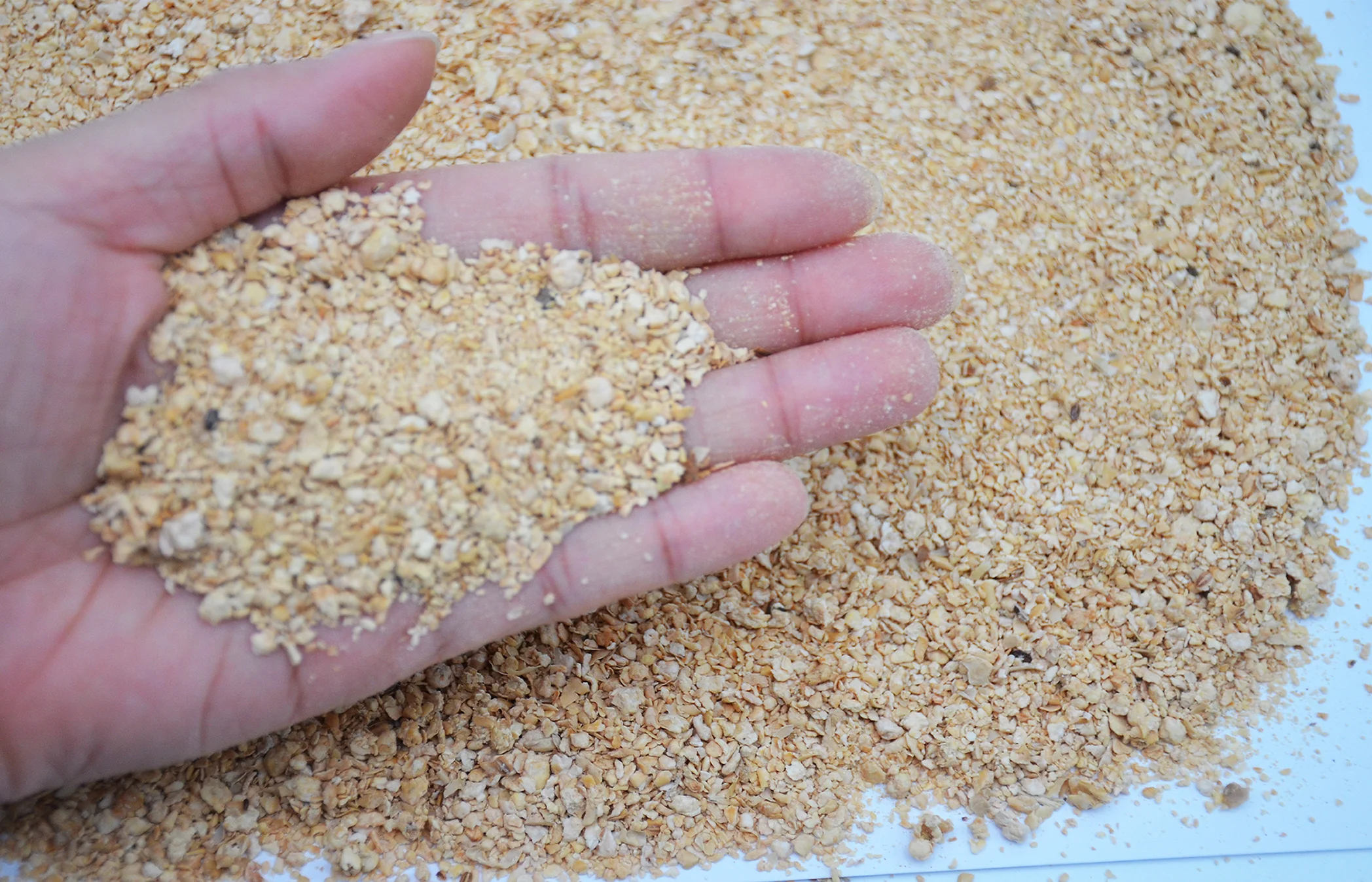 
High quality GMO or NON- GMO soyabean meal 