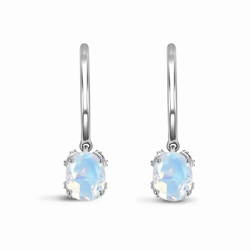 

Japan and South Korea ins new sterling silver S925 four-claw moonstone long earrings female niche simple light luxury exquisite