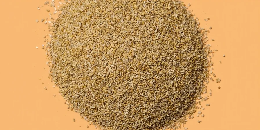 Infographic of fun coriander facts