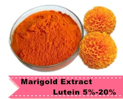 9 Marigold Extract Lutein.png