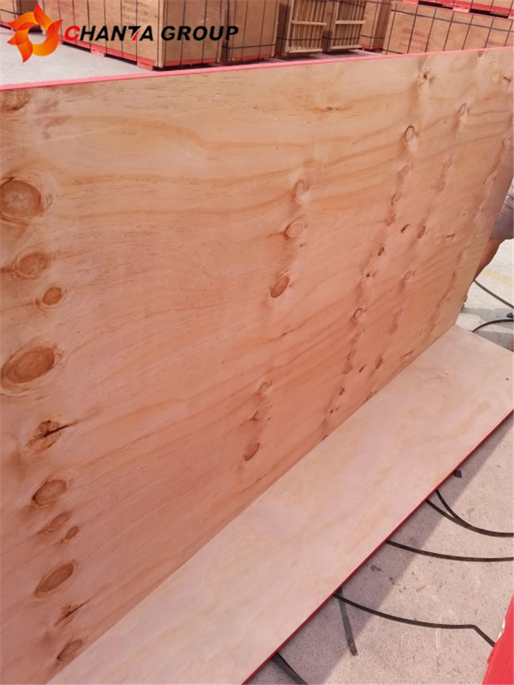 Cheap Price 12mm 15mm 18mm Pinus Sylvestris Radiata Pine Veneer CDX Plywood for Packaging