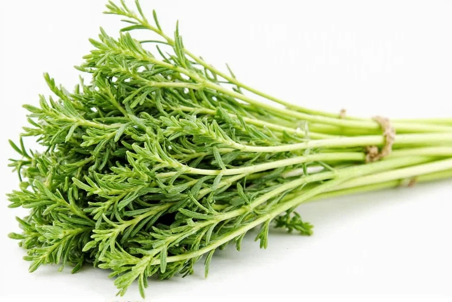 tarragon leaves substitute a flavorful guide to smart spice storage usage