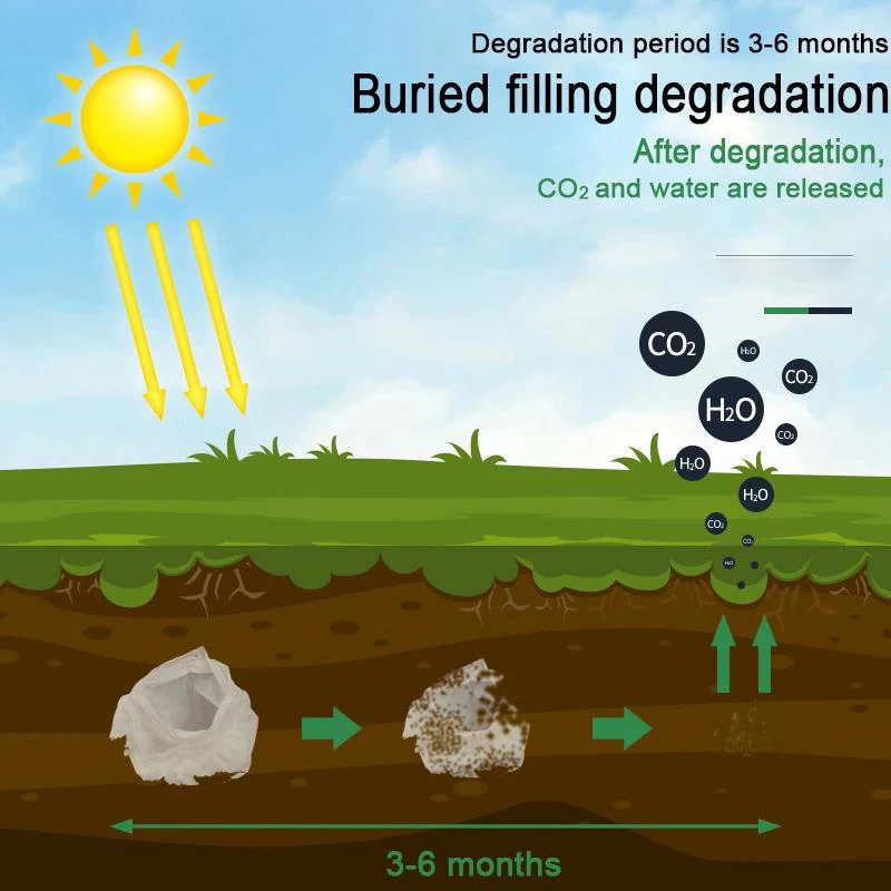 eco bio 100% 可降解易撕食品保鲜袋超市