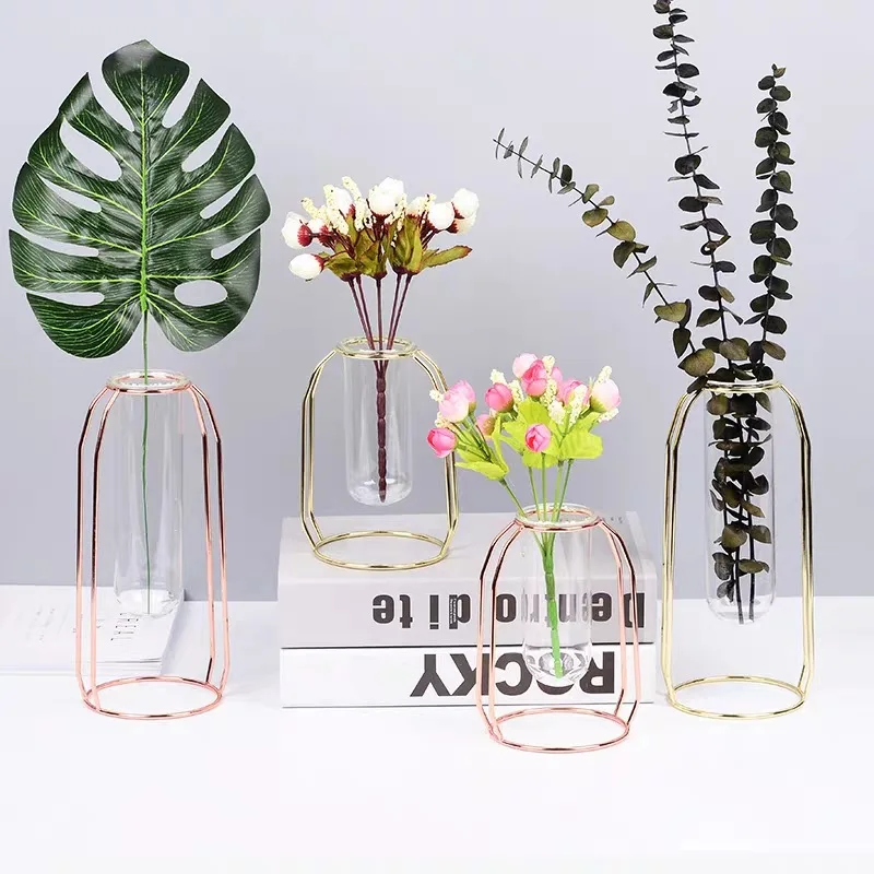 

Qiansi Furniture display vase flower test tube transparent glass vase simple wrought iron flower arrangement decorative vases