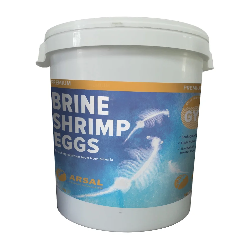 
Russian Supplier Brine Shrimp Eggs With Protein High Hatching Rate / Artemia Cysts In Plastic Bucket 