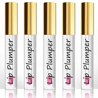 

Cosmetics Manufacturer Factory Price Colourful Moisturizing Lipgloss Lip Plumper Private Label Plumping Effect Lip Gloss