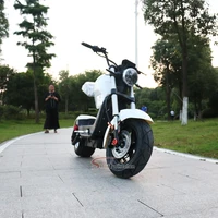 

Holland Warehouse New EEC/COC Citycoco 3000W Homologation Electric Scooter with Removable Lithium Battery