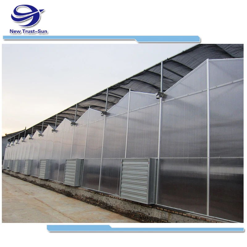 
Hydroponic Venlo polycarbonate Energy Drive Photovoltaic Panel Solar Greenhouse 