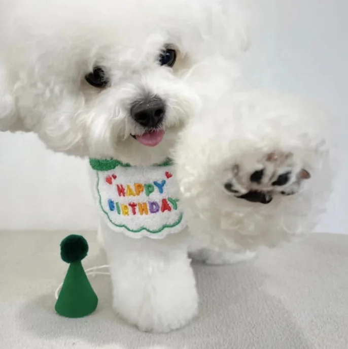 

Factory Wholesale Customization Birthday Party Supplies Cat And Dog Birthday Hat Birthday Decorations Outfits for Pet