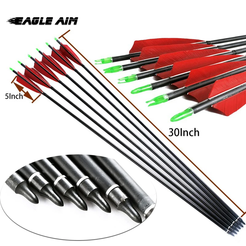 

6PCS 30 Inch Carbon Arrows 5inch Turkey Feather Spine 500 for Recurve Compound Bow Archery