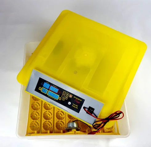 bird egg incubator for sale in utah petco bird egg incubator for sale in utah petco