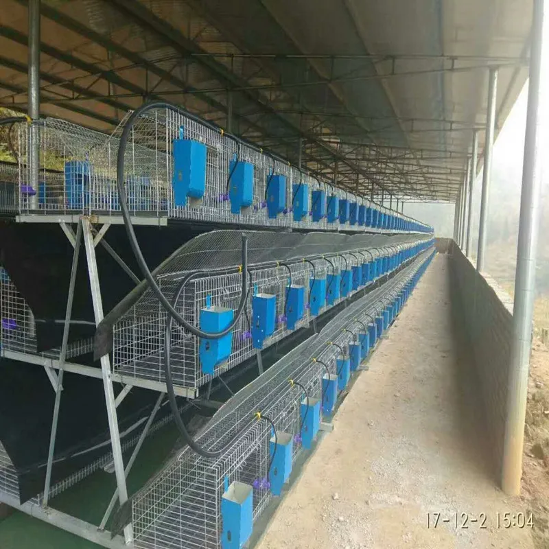 Cheap Rabbit Farming Cages Industrial Rabbit Cages Kenya Farm Products