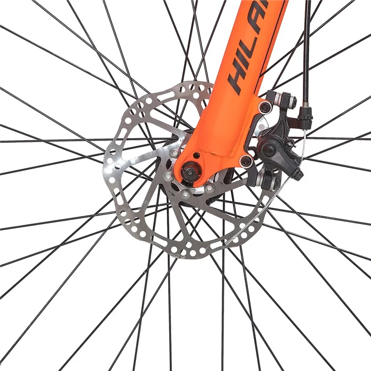 mtb (9).jpg