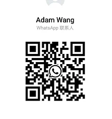 China Made Hot Selling DCA ASB240-110 300W Wall Electric Sander Variable Speed Finishing Industrial Sander 