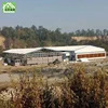 Battery Layer Chicken Cage For Poultry Farm With 96,120,128,160 Birds Capacity