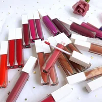 

Top selling luxury 23 colors custom clear small wholesale lipgloss tubes 8ml private label liquid