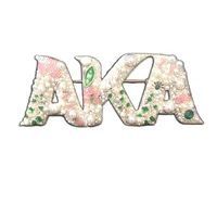

Large Size Custom LOGO Brooches for Women
