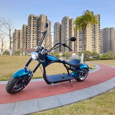 

20AH high powerful electric scooter 2000w citycoco scooter with quality warranty, Customized