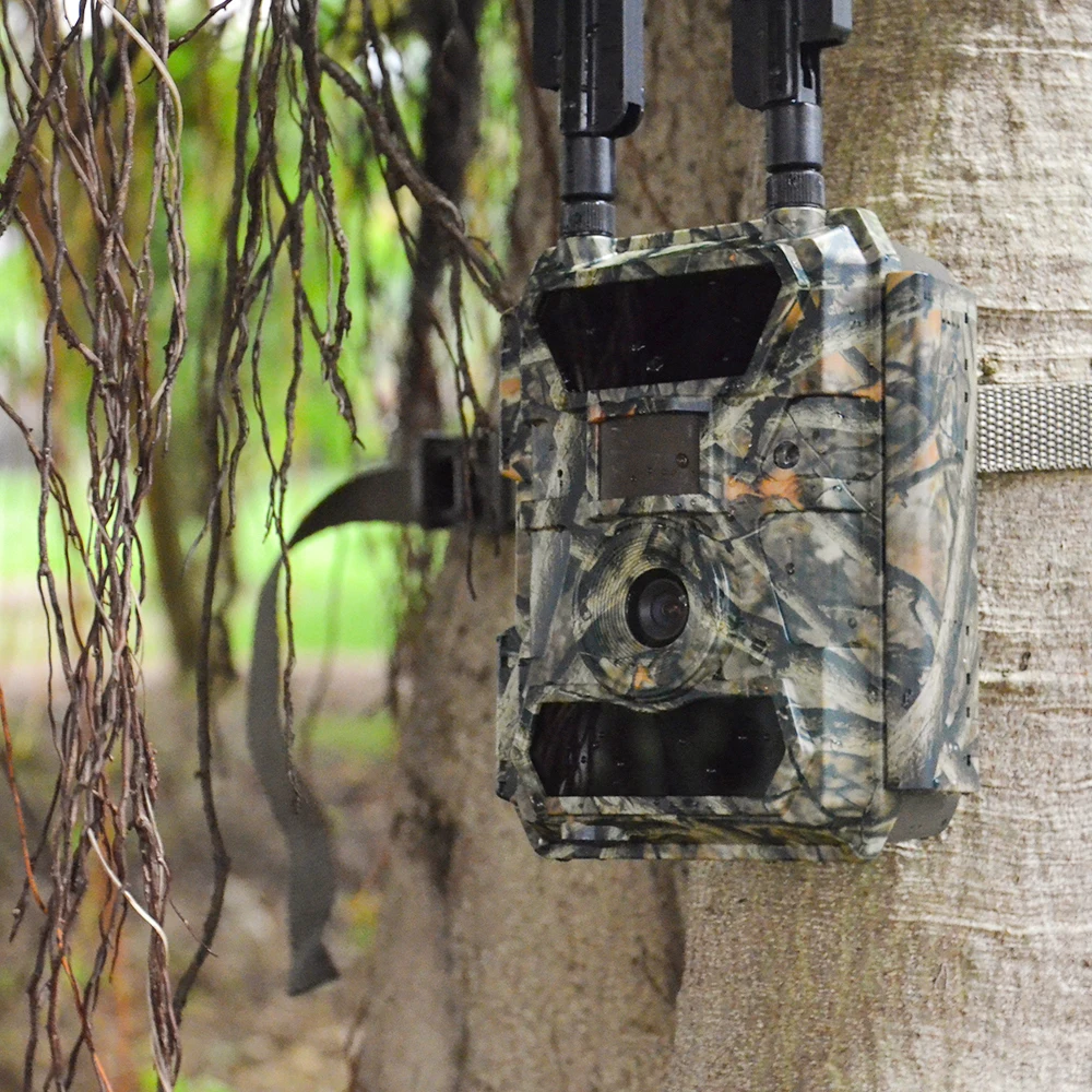 

Super Good Image Trailcam Ace 24MP 16MP 12MP game trail forestcam wild animal trap