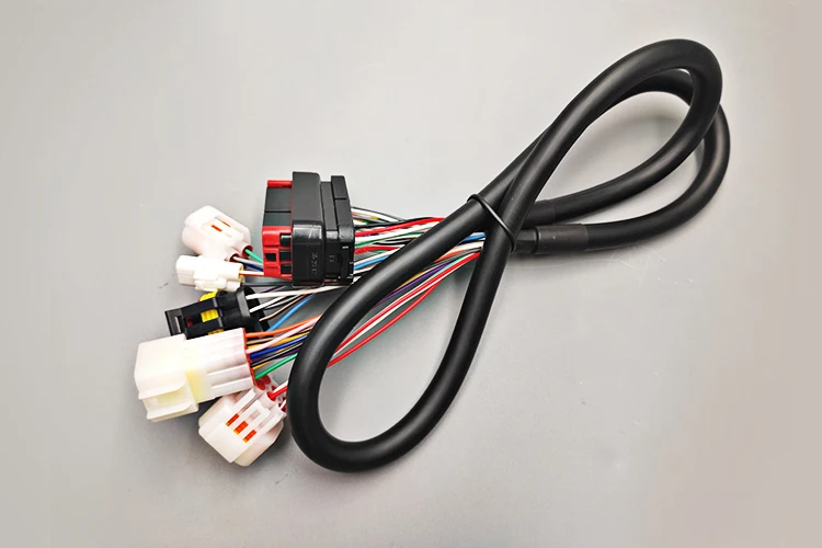 Customize MS3Pro Accessories ECU MS3Pro ULTIMATE Center Harness - ANKUX.COM