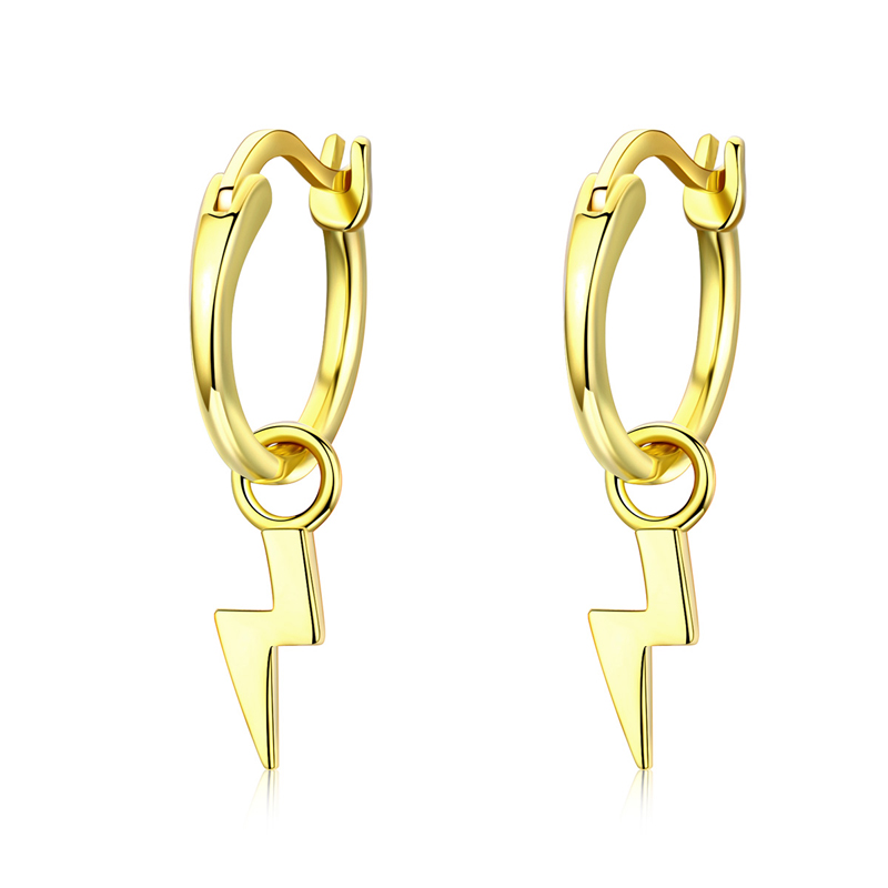 

Ladies Bulk New Fashion Pendant 14k Gold Filled Hoop Earrings Fine Jewelry