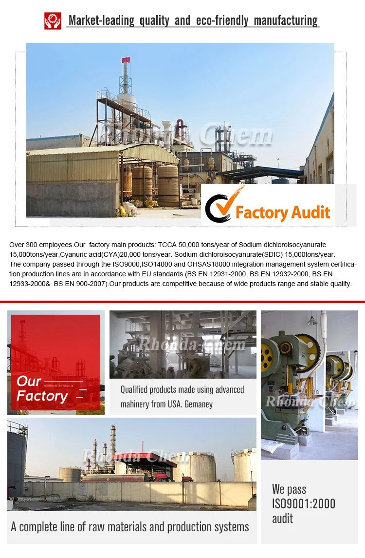 Factory show of TCCA.jpg