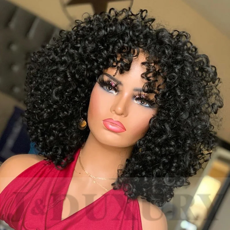 

High Quality 10A human Wigs Human Hair Lace Front wig HD lace wig Brazilian kinky Curly hair for black women, Natural color full lace wig