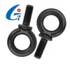 ANSI Grade5 Black Making Machine Eye Bolts