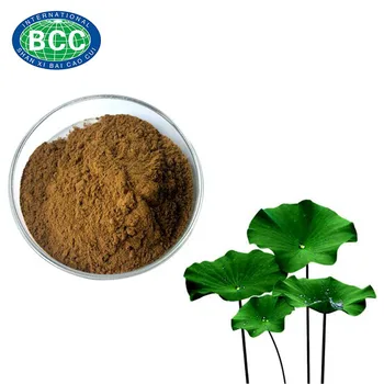 Lotus Leaf Extract Powder Nuciferine 2% - Buy Lotus Leaf Extract,Plant ...