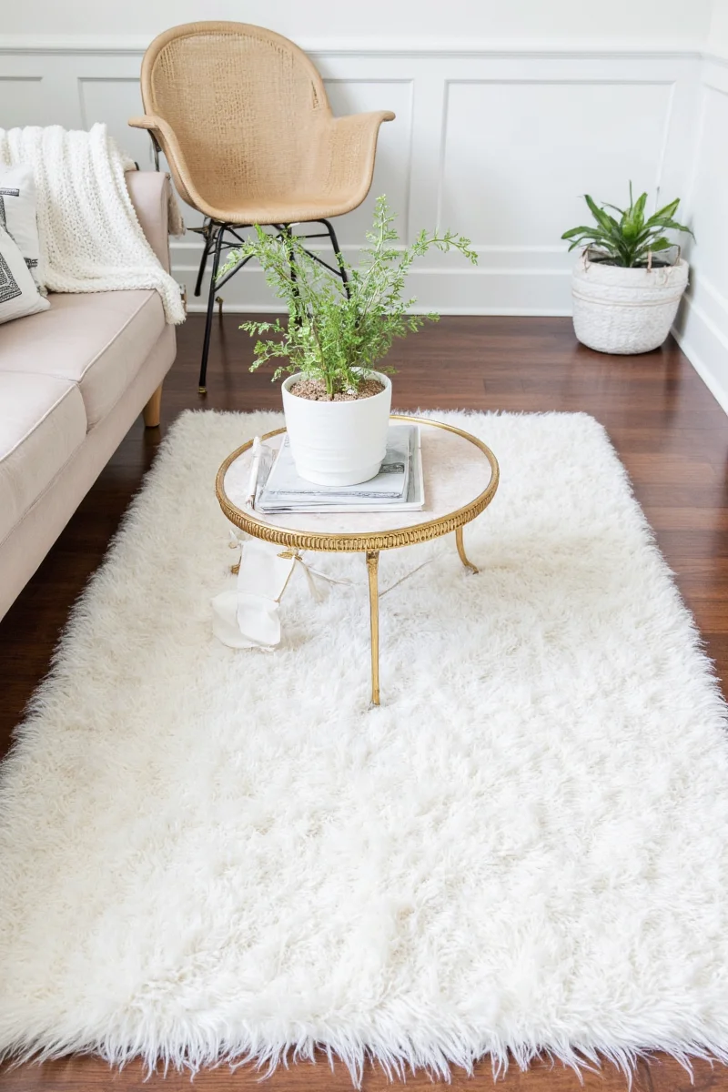 Mom spot-cleaning a white rug at home