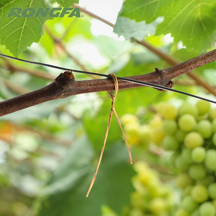 

natural color Biodegradable precut paper twist ties colored tie ropes twisted rope garden vineyard rope