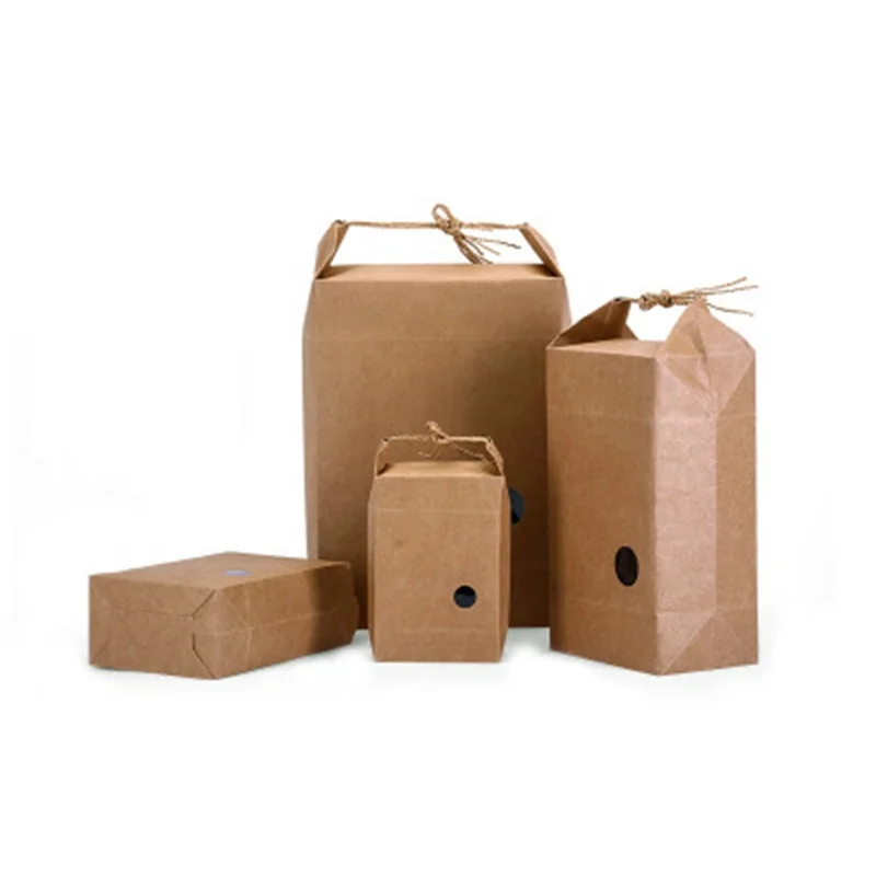 

Custom Logo Paper Bag Printing Packing Gift Shopping Brown Kraft Paper Bag With Rope Handle