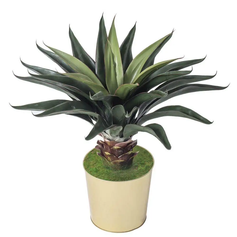 

Manufacture plastic green real touch bonsai large artificial succulent tropical agave /snake/plant in pot