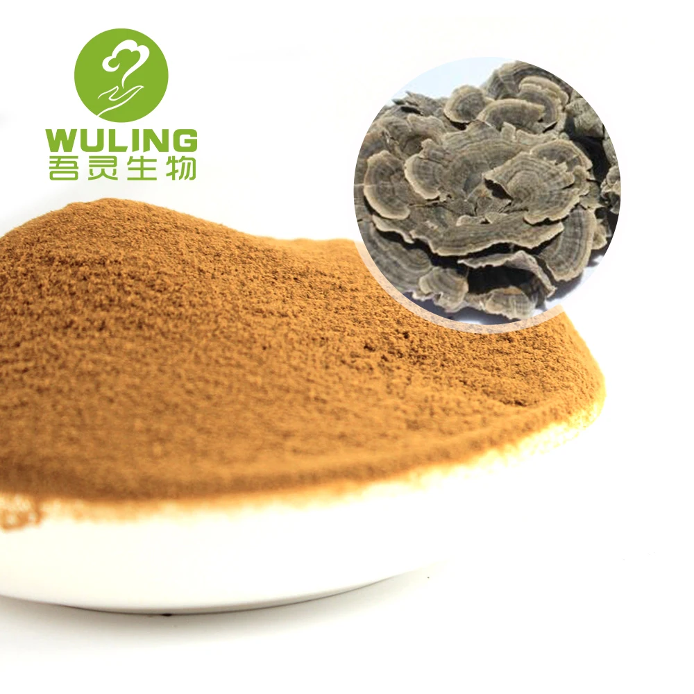 
100% soluble in water Turkey Tail Extract Powder Beta Glucan 50% 