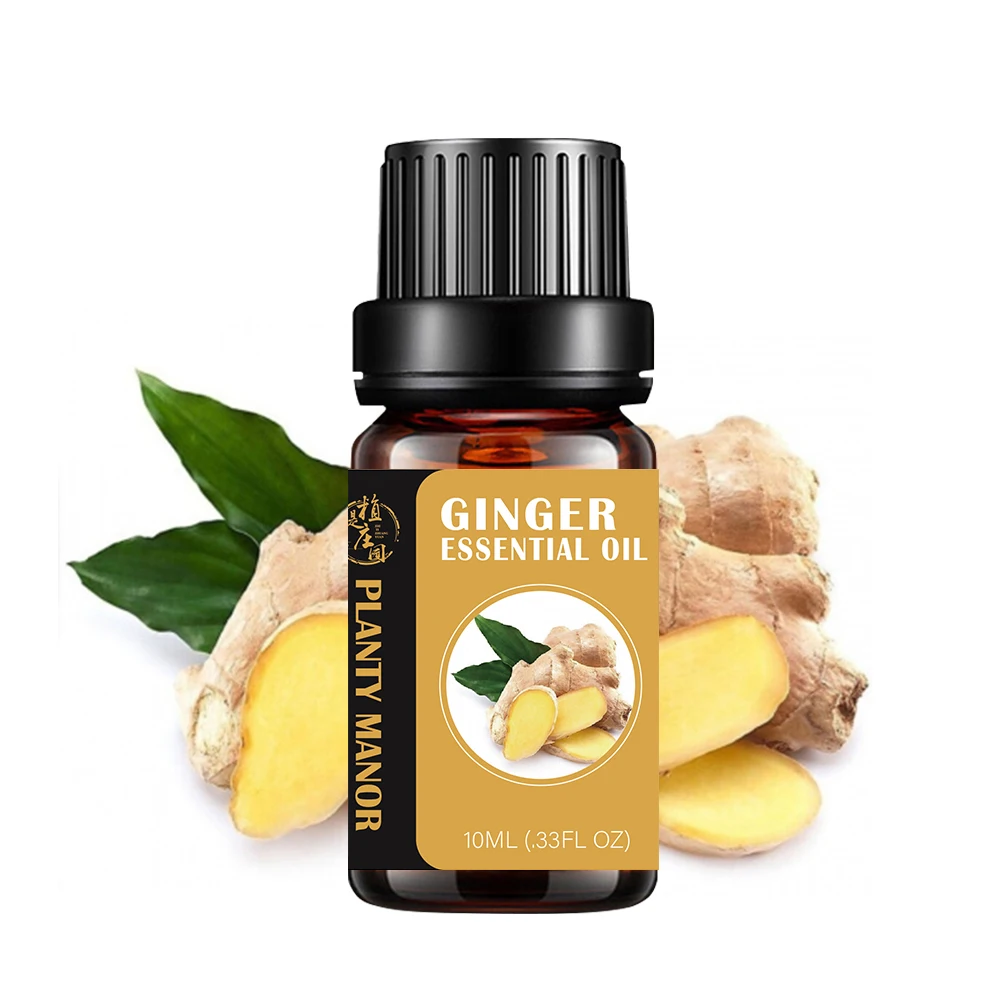 

Ginger Root Ginger Oil Extract from Adveanced Processing Machine