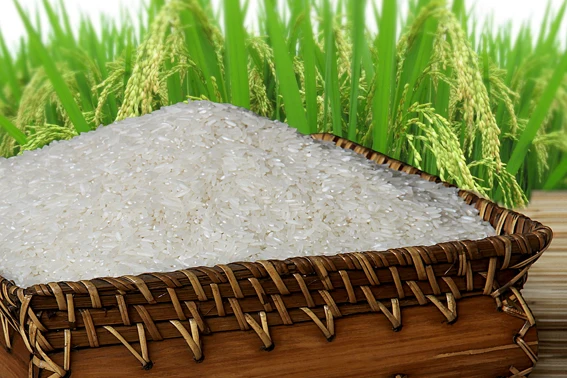 
Vietnam Jasmine Rice 