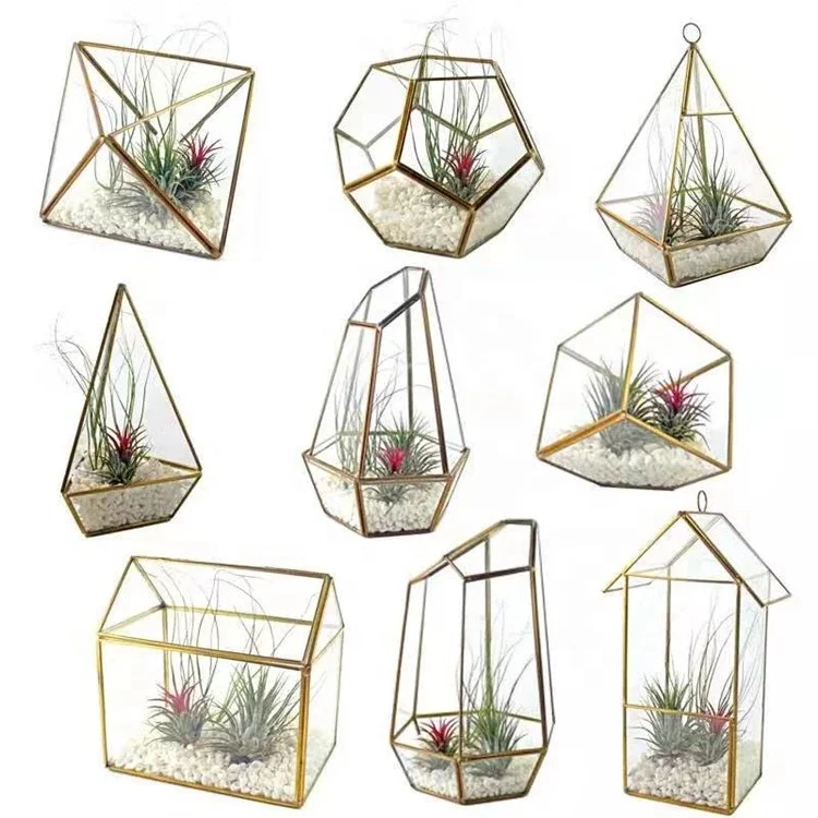

OEM all types handmade geometric glass terrarium for home and wedding decoration, Clear