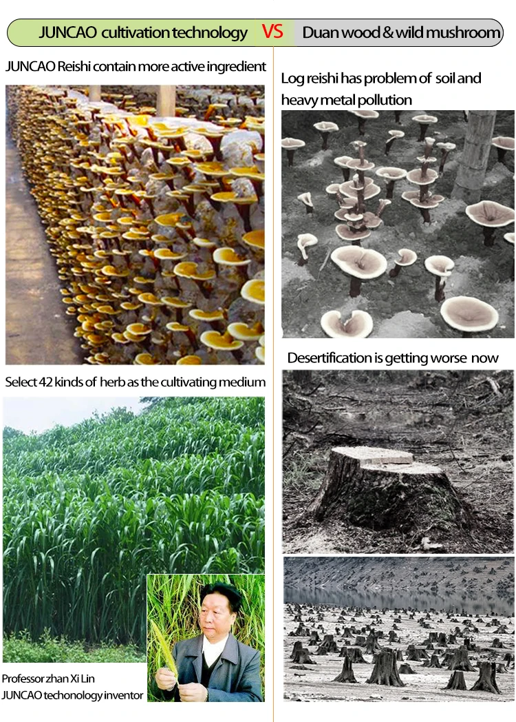 JUANCAO techn ology.jpg