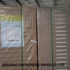 offset paper/woodfree paper/bond paper export in large quantity