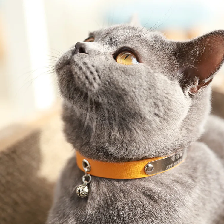 

Wholesale Luxury Cat Collar Cute Safe Leather Cat Pet Neck Collar Breakaway Adjustable Breakaway Cat Collars