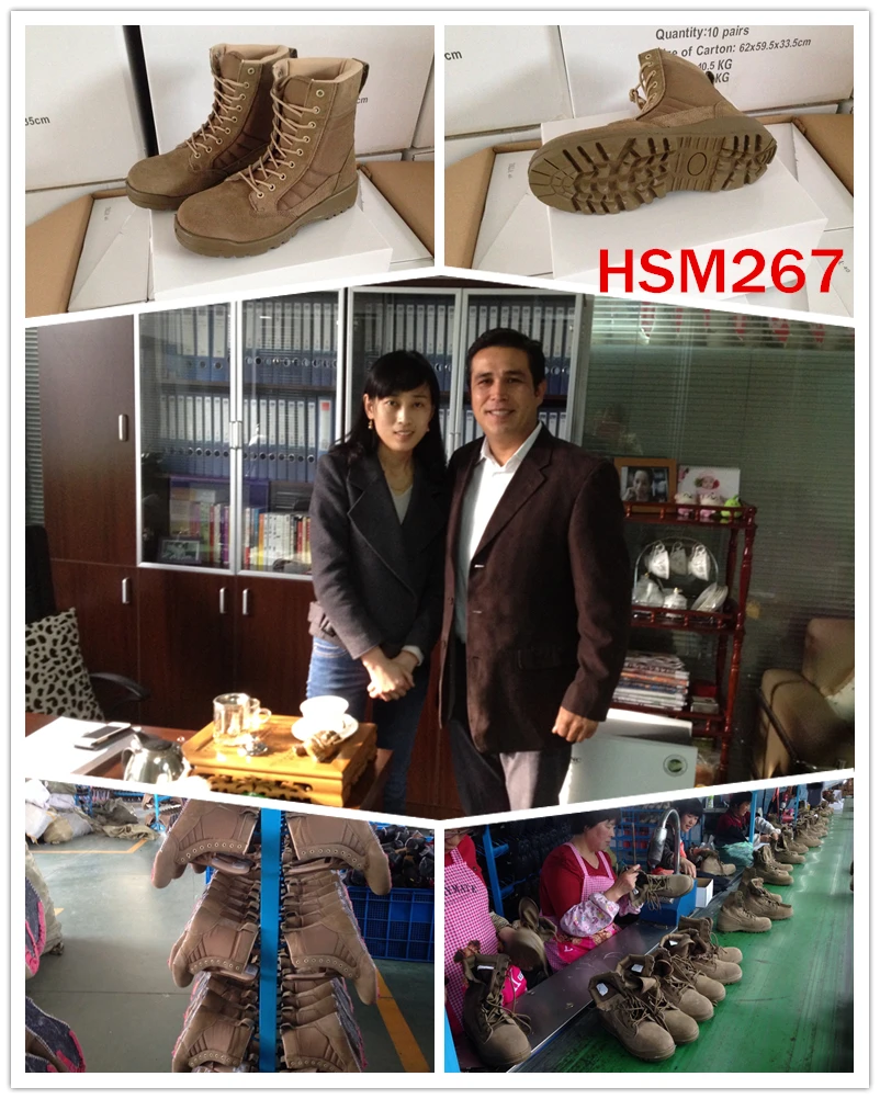 2015 HSM267