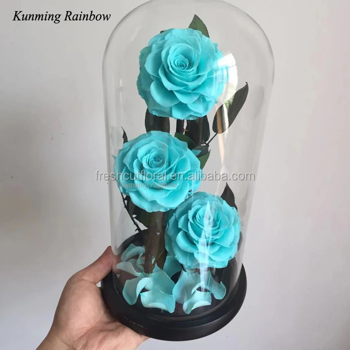 Everlasting Single Preserved Fresh Rose In Glass Dome For Decration